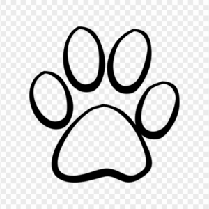 Paw Print